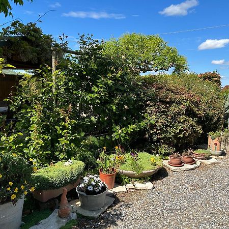 La Casa Di Biba Bed & Breakfast Massa Lombarda Luaran gambar