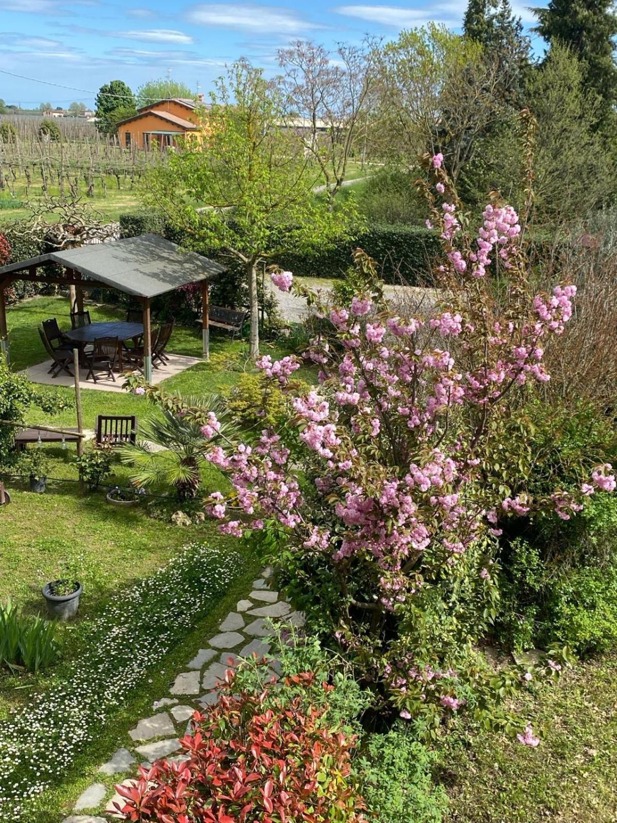La Casa Di Biba Bed & Breakfast Massa Lombarda Luaran gambar