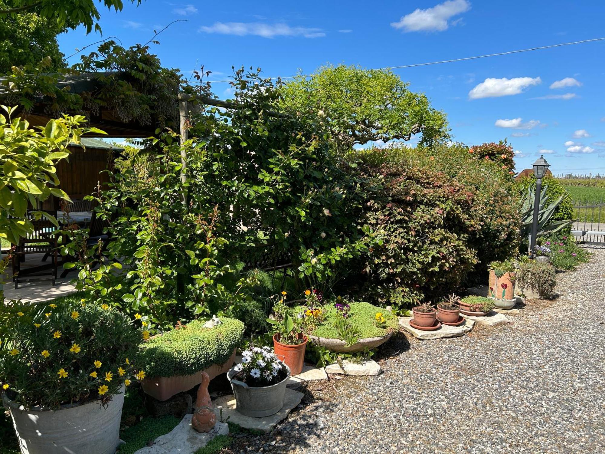 La Casa Di Biba Bed & Breakfast Massa Lombarda Luaran gambar